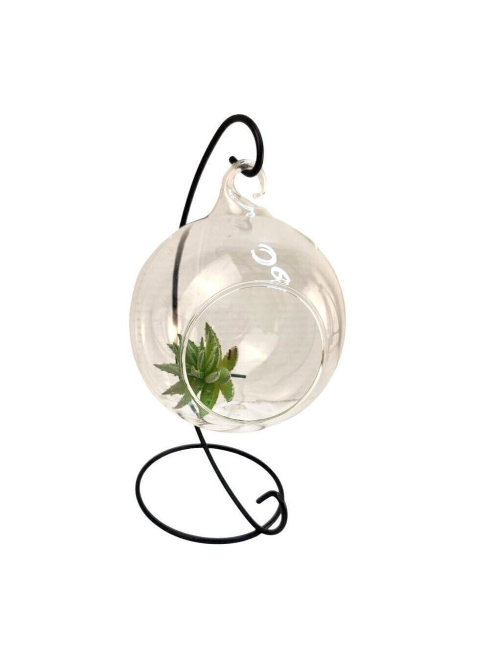 Hanging Glass Terrarium Metal Stand Planter Air Plants Succulents Candle